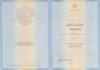 Диплом бакалавра 2009-2010
