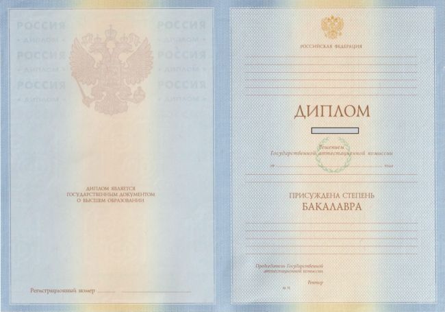 Диплом бакалавра 2009-2010