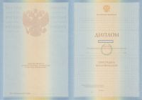 Диплом специалиста 2009-2010