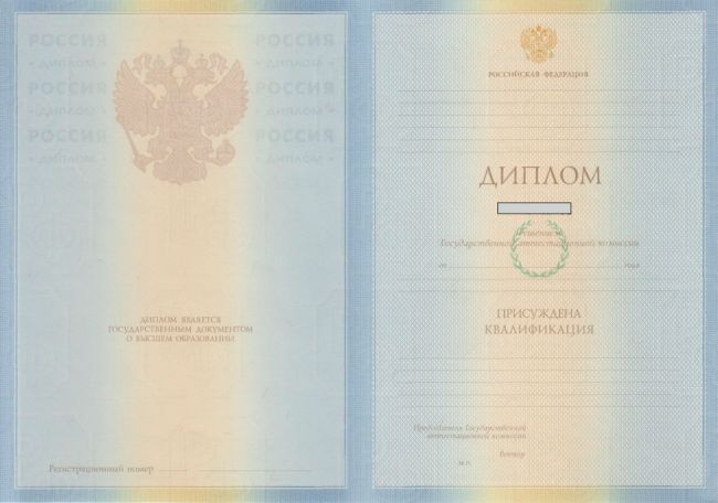 Диплом специалиста 2009-2010