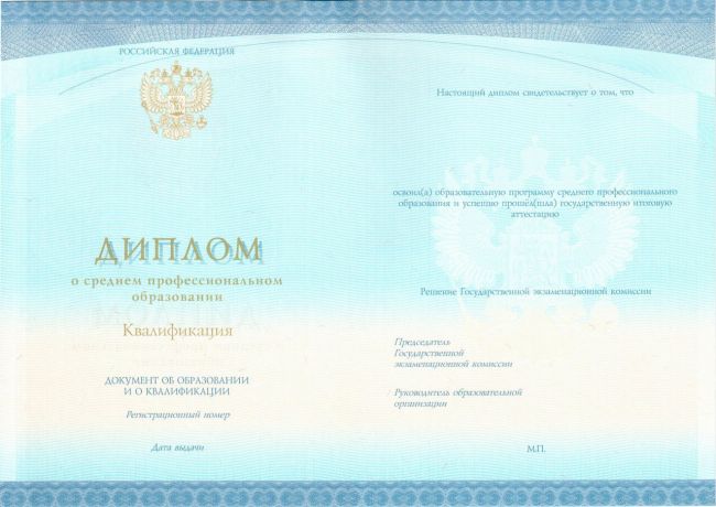 Диплом ПТУ 2014-2024